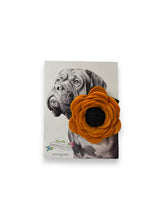 Cargar imagen en el visor de la galería, Poppy Dog Collar Flower - DeFrenS