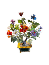 Lade das Bild in den Galerie-Viewer, Jade Plant