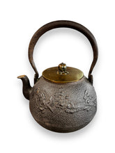 Lade das Bild in den Galerie-Viewer, Japanese Iron Tetsubin

