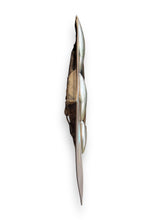 Charger l&#39;image dans la galerie, Bronze Wall Art - Brett Chomer &quot;Tailfin Fetish&quot; - DeFrenS
