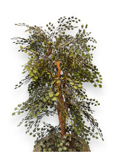 Carica l&#39;immagine nel visualizzatore di Gallery, Artificial Tree in Gold Chinese Pot - DeFrenS
