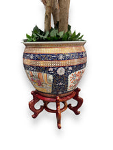 Cargar imagen en el visor de la galería, Ficus Tree in Pot - DeFrenS
