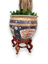 Cargar imagen en el visor de la galería, Ficus Tree in Pot - DeFrenS
