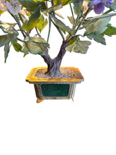 Lade das Bild in den Galerie-Viewer, Jade Plant
