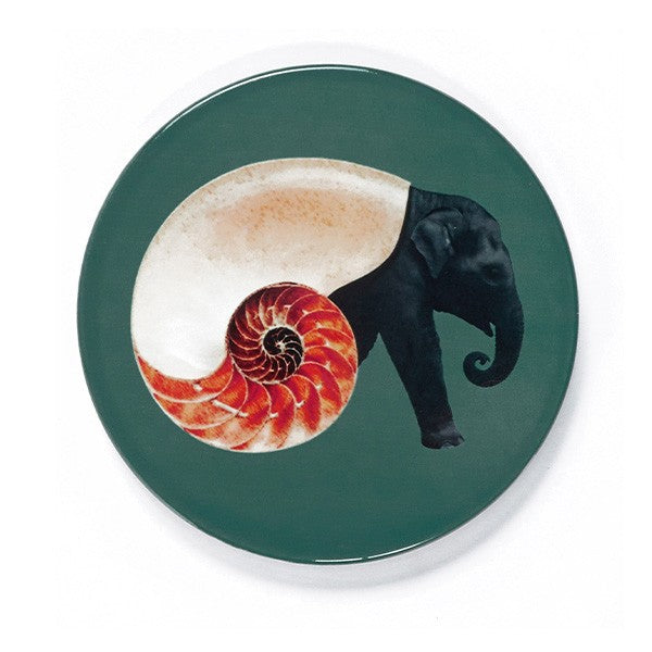 Shellephant - Set of 4 Ceramic Coasters - DeFrenS
