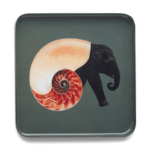 Load image into Gallery viewer, Shellephant Trinket Tray - DeFrenS
